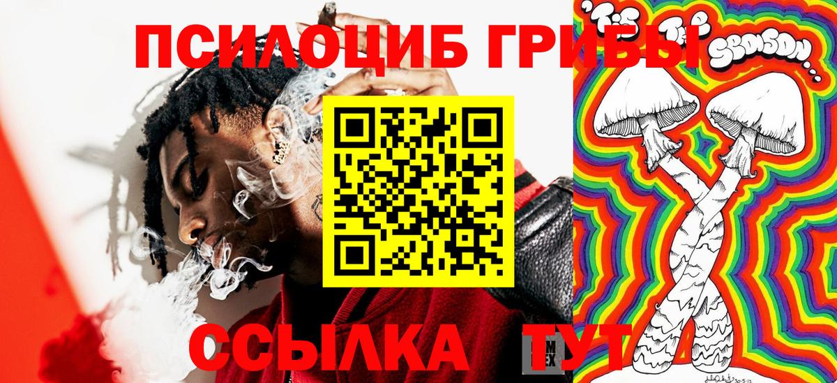 Галлюциногенные грибы Magic Shrooms  Кизилюрт  Псилоцибиновые грибы MAGIC MUSHROOMS 