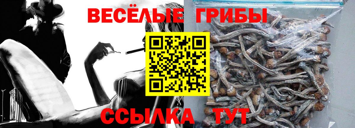 Метадон  Кизилюрт  Вход с VPN  Меф МЯУ МЯУ кристаллы  АМФ   Канабис  ГАШ  Наркошоп  Cocaine 