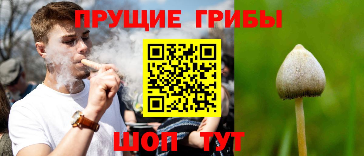 Псилоцибиновые грибы мухоморы Кизилюрт