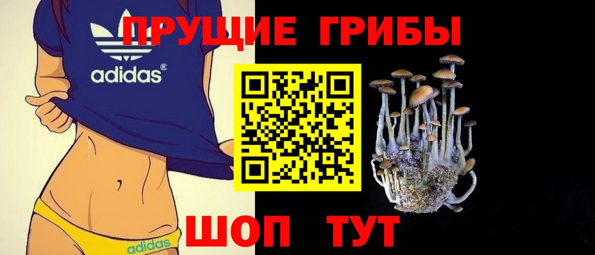 Кизилюрт  Псилоцибиновые грибы ЛСД  Вход с VPN  Псилоцибиновые грибы Psilocybine cubensis 